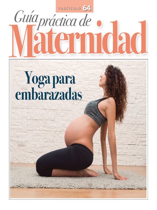 Cover image for Guía práctica de Maternidad